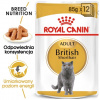 Royal Canin Cat British Shorthair 85 g