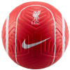 Football Nike Liverpool FC Strike DJ9961-657 (126877) GREEN 4