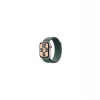 Apple Watch SE GPS 40mm Starlight Aluminium Case with Lake Green Sport Loop (MXEH3QC/A)