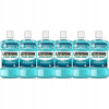 Listerine Cool Mint ústna voda 1 l (Listerine Cool Mint ústna voda 500 ml, sada 6 ks)