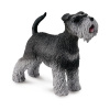 Collecta Schnauzer
