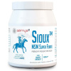 Barny's Sioux MSM Super Forte 600 g 600 g prášok na prípravu nápoja