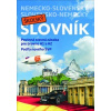 Nemecko-slovenský a slovensko-nemecký školský slovník - Kolektív autorov