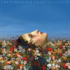 Pineapple Thief - Magnilia / Reedice / Vinyl [LP]