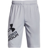 UNDER ARMOUR Prototype 2.0 Logo Shorts, grey - S