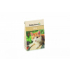 Beeztees Catnip box 20g