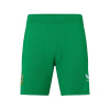 Castore Ireland Home Shorts 2023 Mens Jolly Green XL