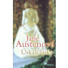Úskalí lásky - Austenová Jane