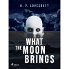 What the Moon Brings