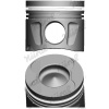Piest NÜRAL (FEDERAL-MOGUL) 87-427400-10