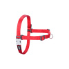 Postroj pre psa Red Dingo 59-84 cm Červená M/L