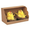 Sliepočka s kuriatkami, 2ks