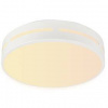 LED stropné svietidlo IMMAX NEO LITE PERFECTO SMART, kruh, 30cm, 24W, TUYA Wi-Fi (07153-W30) biele