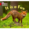It is a Fox - Milford, Alison