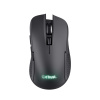 Trust GXT 923 Ybar Wireless Gaming Mouse 24888