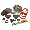 MALOSSI VARIATOR MULTIVAR MHR MALOSSI 5112800