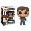 Funko POP! Harry Potter Harry With Prophecy 32