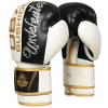 Boxerské rukavice B-2V16 12 OZ BOXERSKÉ RUKAVICE DBX BUSHIDO (30-B3-012)