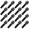 Skrutka Carbonado M14x1.50 kužeľová, kľúč 17 45 mm 16 ks