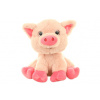 Prase 26 cm