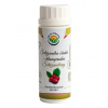 Salvia Paradise Schizandra 60 kapsúl