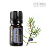 Esenciálny olej doTERRA Juniper Berry, borievka, 5 ml