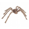 Halloweenská dekorácia - Šedý realistický pavúk 60 cm Guirca
