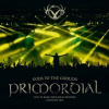 Primordial - Gods Of The Godless / Vinyl / 2LP [2 LP]