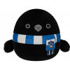 Squishmallows Harry Potter Ravenclaw Raven