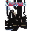 Bleach 15 - Kubo Tite