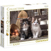 Roztomilé mačky HQC 1000 dielne puzzle - Clementoni