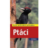 Ptáci - Nový průvodce přírodou - Dierschke Volker