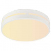 LED stropné svietidlo IMMAX NEO LITE PERFECTO SMART, kruh, 40cm, 24W, TUYA Wi-Fi (07153-W40) biele