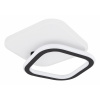 GLOBO 48018-30 LEVANA Stropné svietidlo 1xLED 30W