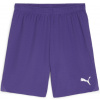 Puma | teamGOAL Shorts | fialová| M