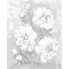 ZUTY Bodkovanie - RUŽOVÉ PIVÓNIE NA ABSTRAKTNOM POZADÍ Rámovanie: bez rámu a bez vypnutia plátna, Rozmer: 40x50 cm
