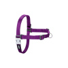 Postroj pre psa Red Dingo 70-98 cm Purpurová L