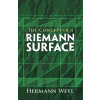 Concept of a Riemann Surface