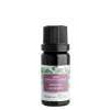 Nobilis Tilia směs éterických olejů Kouzlo adventu: 10 ml