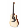APC WG100 CW elektroakustická gitara