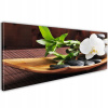 Obrázok - Secret Zen - 150x50 (Obrázok - Tajomstvo Zenroze Režim: 150x50)