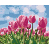 Vymalujsisam.sk Maľovanie podľa čísiel - Ružové tulipány Veľkosť: 40x50cm, Rám: Bez rámu, iba zrolované plátno