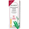 THEISS MUCOPLANT SKOROC.ROZTOK 250ML +ECH+C