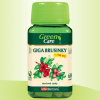 GIGA BRUSINKY 7.700 MG - PRE ZDRAVIE MOČOVÝCH CEST - 60 TBL. | Vitaharmony