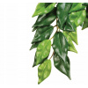 Hagen Exo Terra Ficus rostlina malá 45 cm