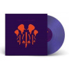 2LP Joe Satriani: The Elephants Of Mars LTD | CLR