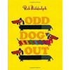 Odd Dog Out - Rob Biddulph, Harper Collins Children's Books