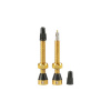 Tubolight Valves 50 2 Pack - Gold 50 mm