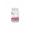 ArthroVet HA 90 tbl