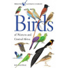Birds of Western and Central Africa